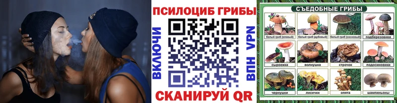 Псилоцибиновые грибы мицелий  Купить где  Черепаново 